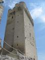 2015-07 Abbaye de Montmajour016